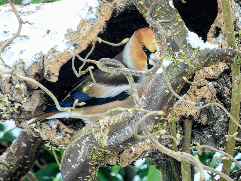 Nr. 2 Foto: Mie Johansen