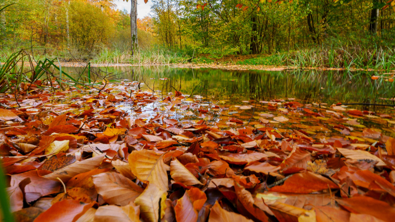 Foto: Mogens Petersen