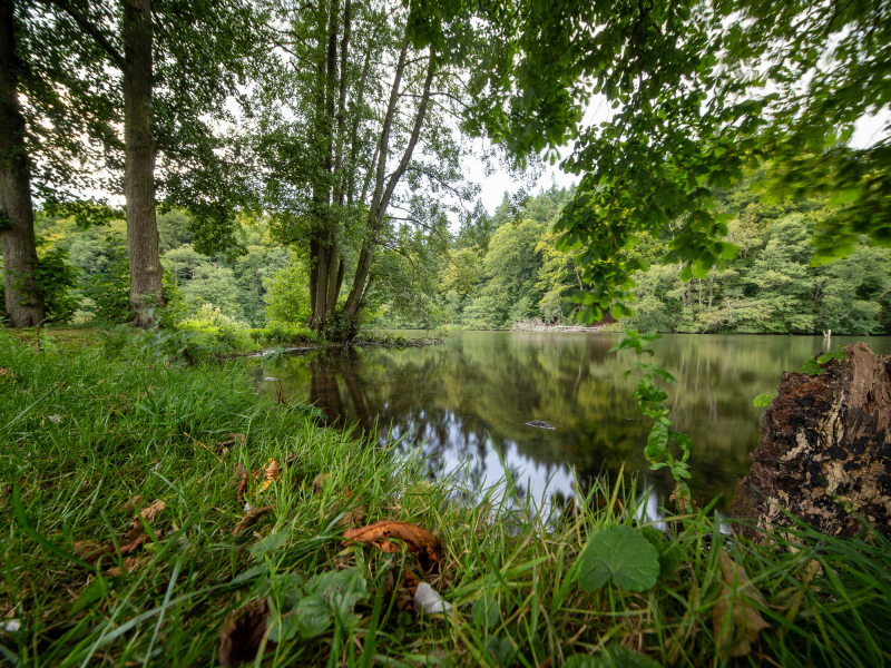 Foto: Mogens Petersen