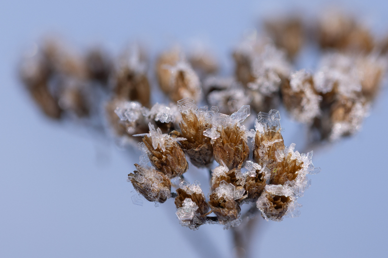 Foto: Bjarne Johannsson