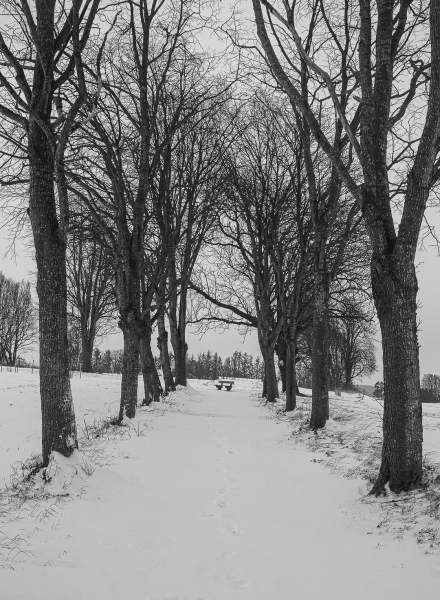 Foto: Maria Erbs Lauritsen