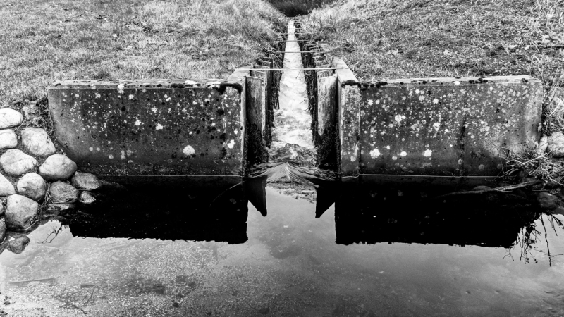 Foto: Niels Kruse