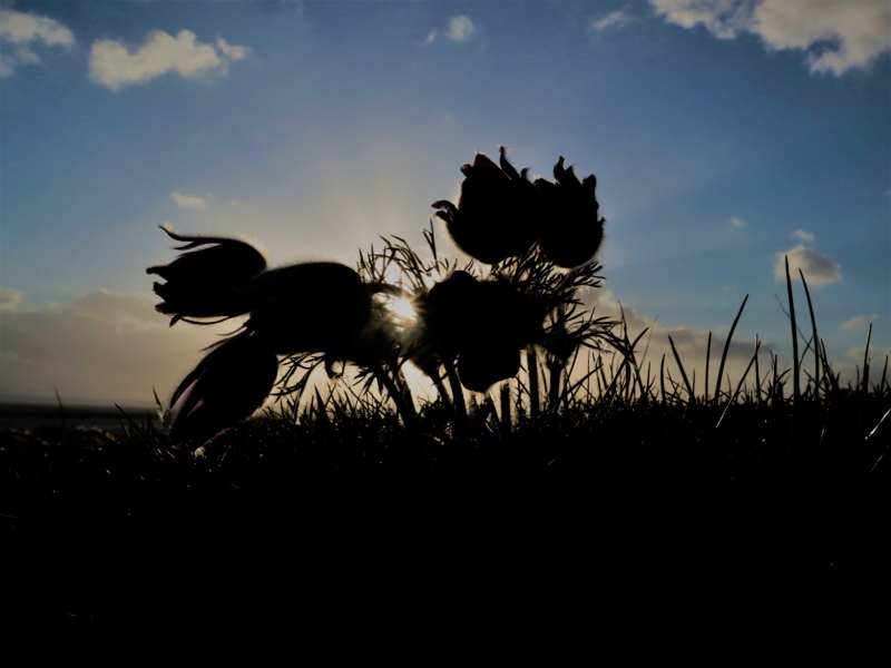 Foto: Birgitte Lindberg