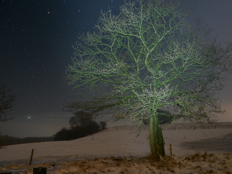 Foto: Mogens Petersen