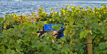 Foto: Bjarne Nørgaard