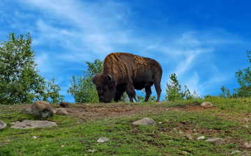 Foto: Bjarne Nørgaard