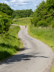 Foto: Mogens Petersen