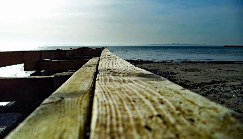 Into-the-see