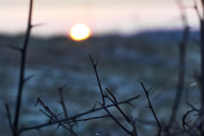 Foto: Anders Frejbæk