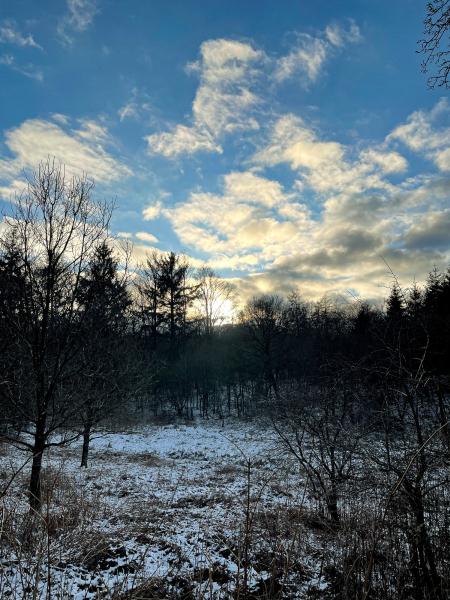 Foto: Helle Overgaard Pedersen