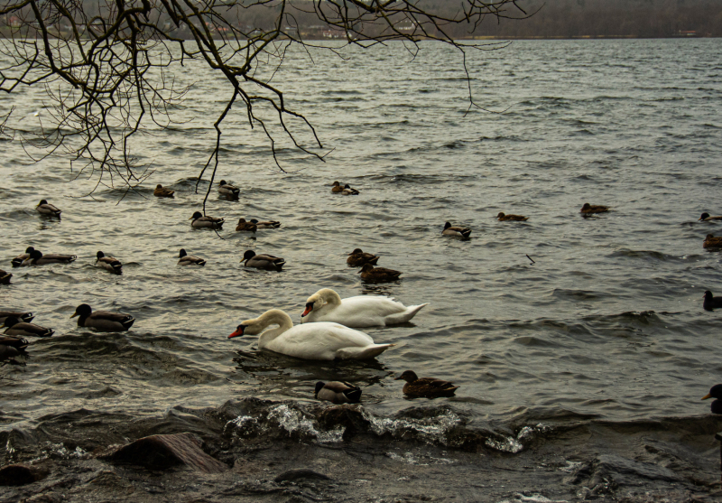 Foto: Helle Overgaard Pedersen