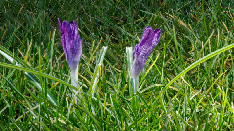 Foto: Mogens Petersen