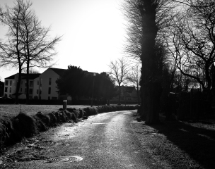 Foto: Ole Søgaard