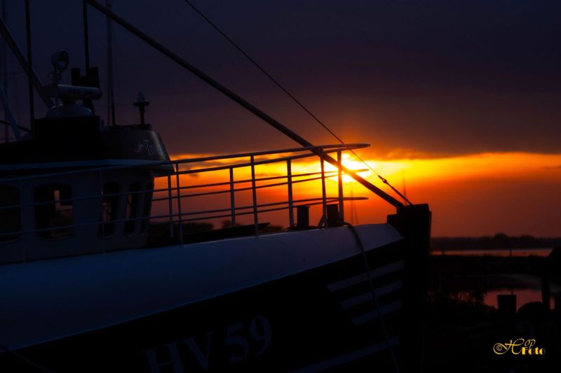 Solnedgang