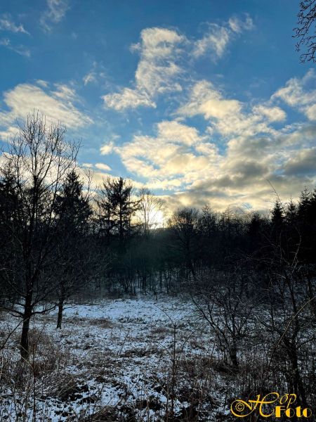 Vinter