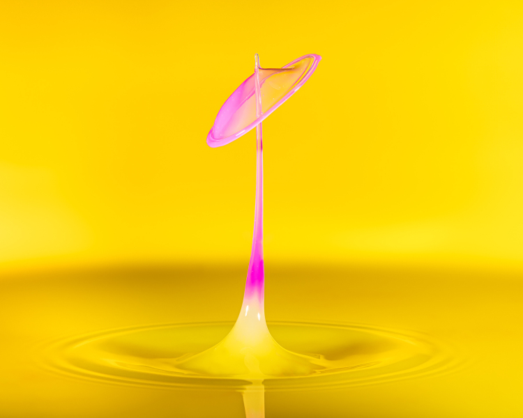 Foto: Henrik Samuelsen