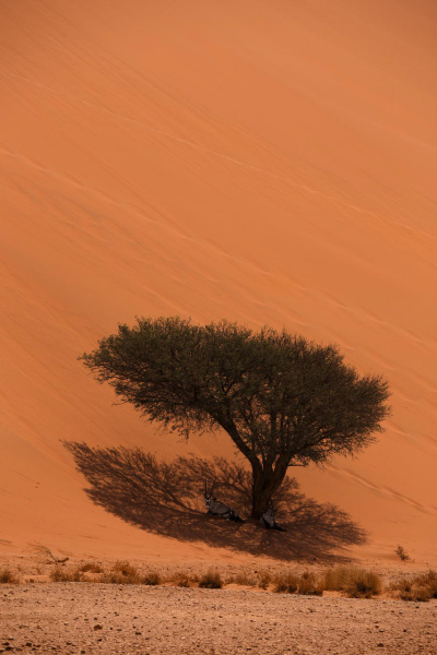fotoklub_jan_2017_003-19
