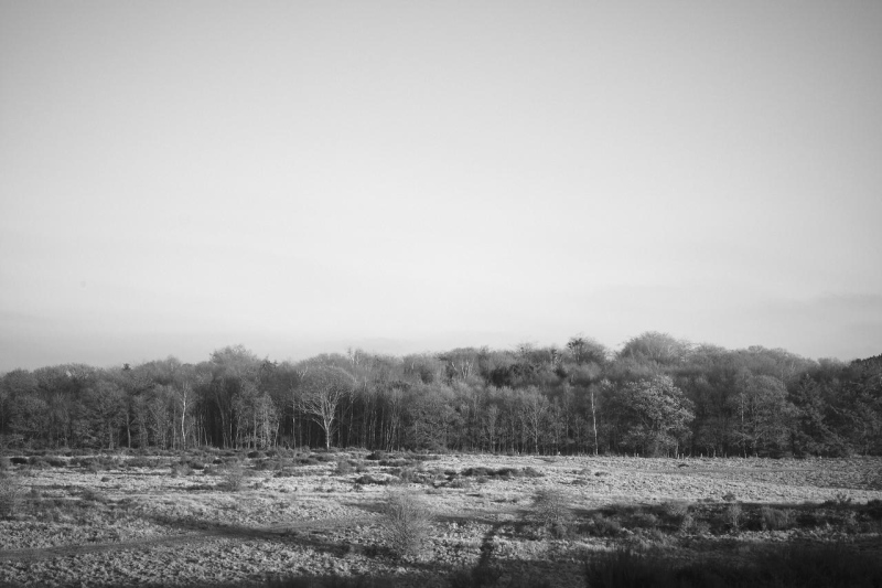 fotoklub_jan_2017_012-28