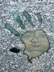 Nr 2 Foto: Tina Juul