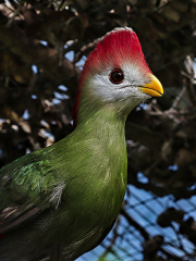 Foto: Poul Erik Friedrichsen