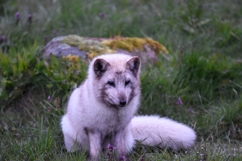 Foto: Helle Overgaard Pedersen