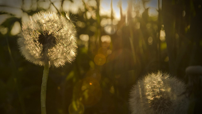 Foto: Benjamin Christesen