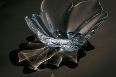 Maj 2019 - Tema: Glas