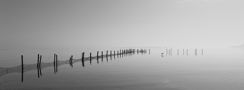 Foto: Bjarne Johannsson