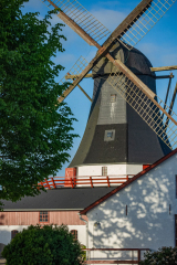 Foto: Helle Overgaard Pedersen