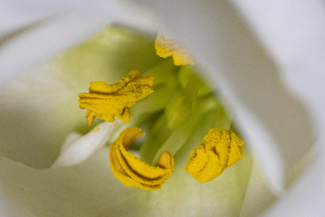 Foto: Lotte T.L.Pedersen
