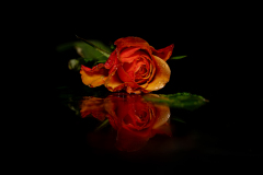 Februar 2023