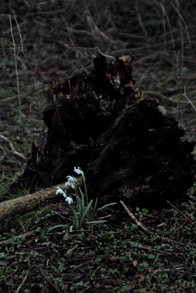 Foto: Bjarne Nørgaard