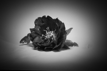 Foto Lotte T. L. Pedersen