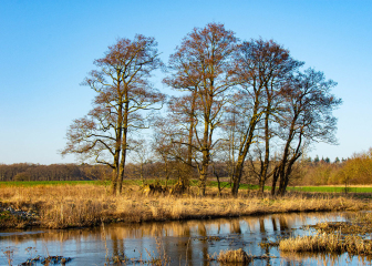 Foto: Helle Overgaard Pedersen