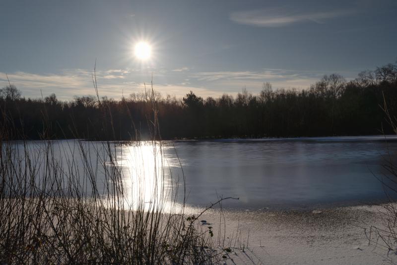 Foto: Flemming Kjær