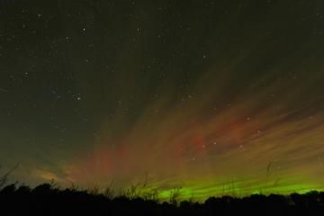 Foto: Poul Erik Petersen