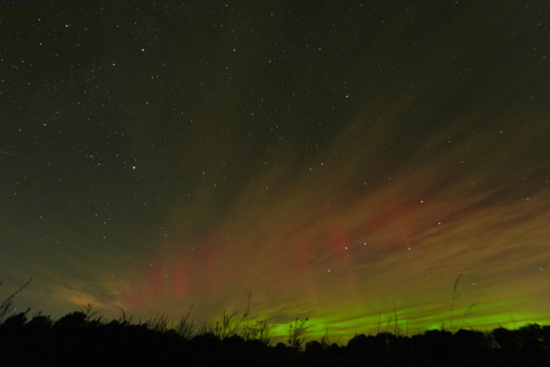 Foto: Poul Erik Petersen