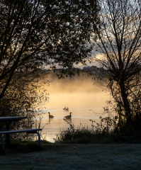 Foto: Rikke Malene Bruun
