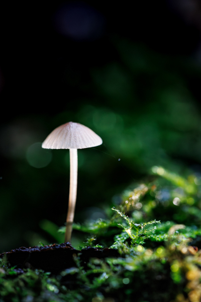 Foto: Kim Lilbæk Cenholt