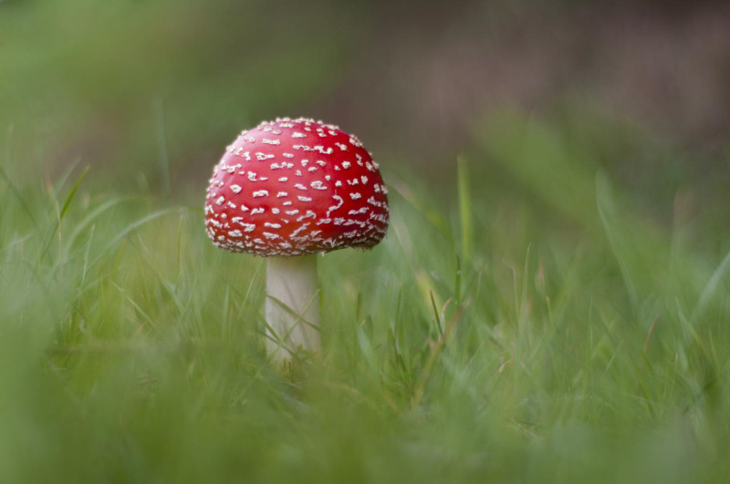 Foto: Merete Kristensen