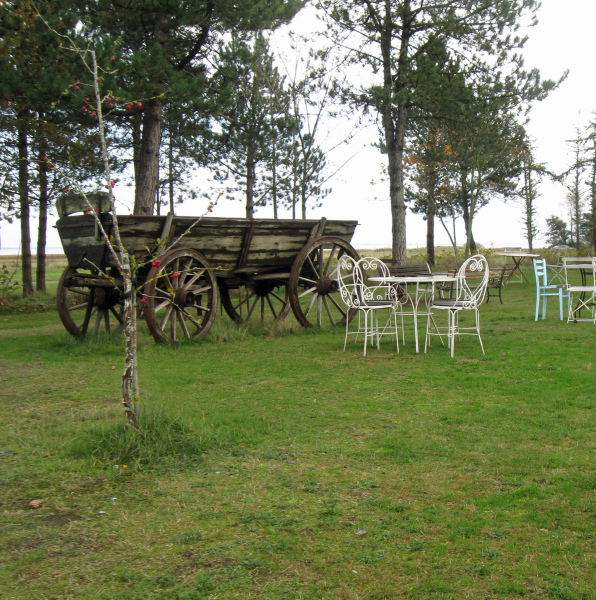 Foto: Bjarne Nørgaard