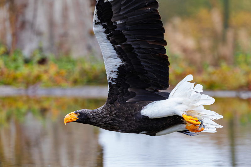 Foto: Kim Lilbæk Cenholt