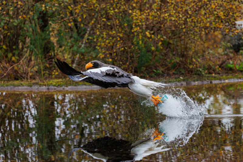 Nr. 1 Foto: Kim Lilbæk Cenholt