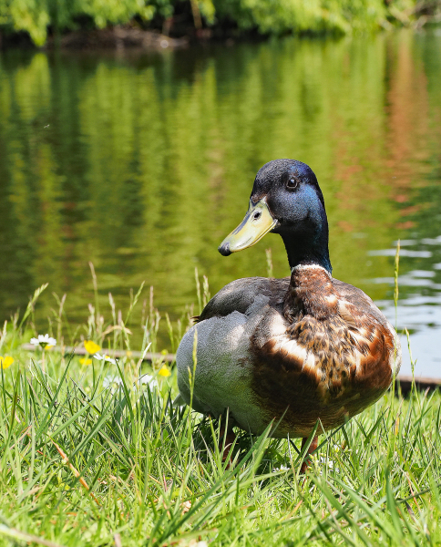Foto: Bjarne Nørgaard