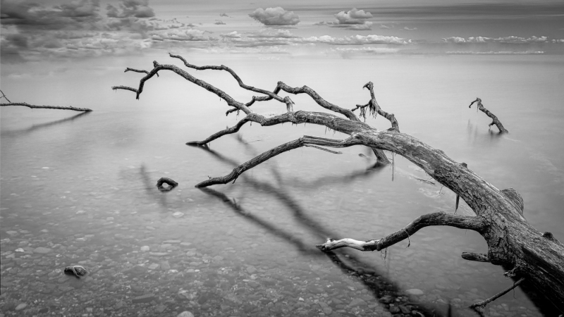 Foto: Henrik Samuelsen