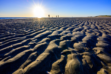 Foto: Henrik Samuelsen