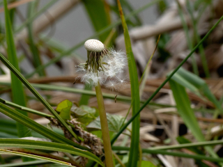 Foto: Niels-Erik Lund Jespersen