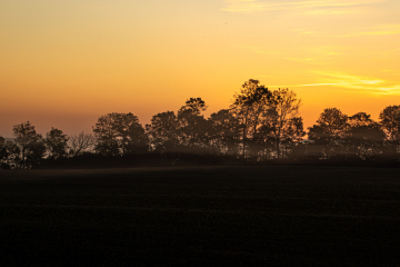 Foto: Lotte T.L.Pedersen