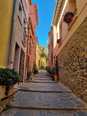 Foto: Rikke Malene Bruun