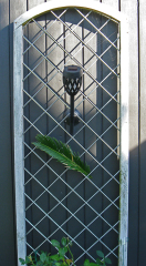 Foto: Bjarne Nørgaard